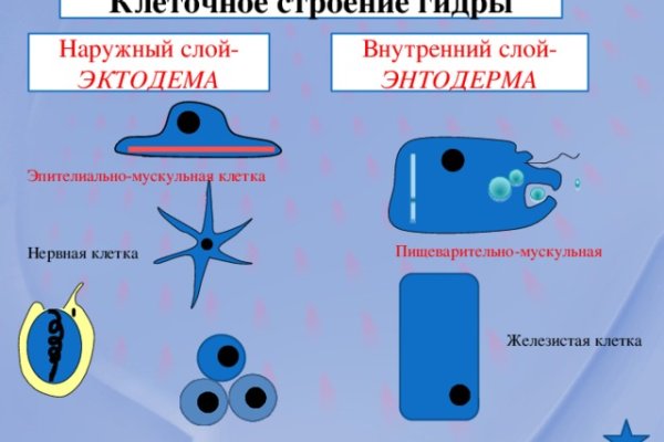Актуальная ссылка на кракен в тор 2krnmarket