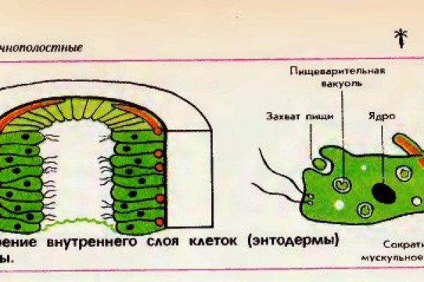 Зайти на кракен